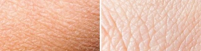 乳液和面霜的七大区别总结：记住这几条铁律，皮肤变好不成问题