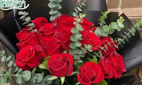 情人节送玫瑰花和什么花最好图1