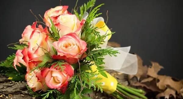 情人节送玫瑰花和什么花最好图5
