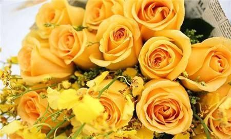 送黄色玫瑰花代表什么意思图3