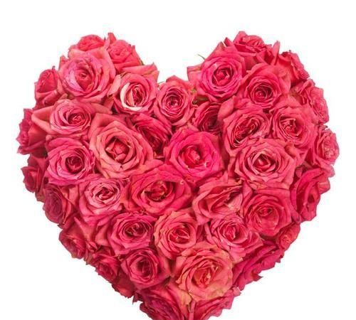 情人节为什么要送玫瑰花和巧克力图10