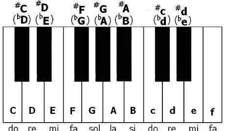 钢琴的黑白键各多少个有什么作用图11