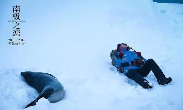 关于南极之恋,关于南极之恋的说法图4