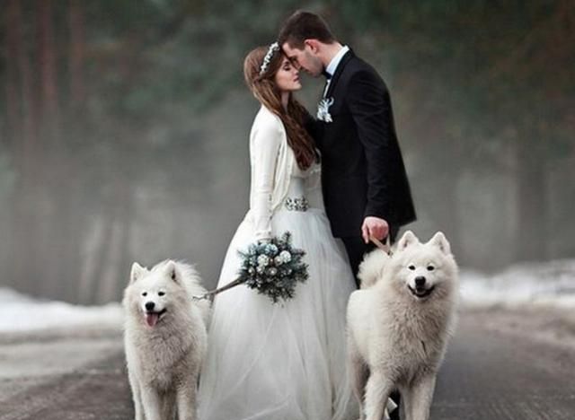 结婚的时候你们当天会把狗狗带走吗图1