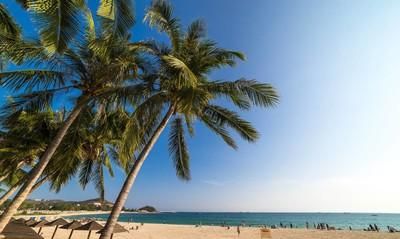 海南三亚哪个湾区的沙滩更适合下海游玩呢图24