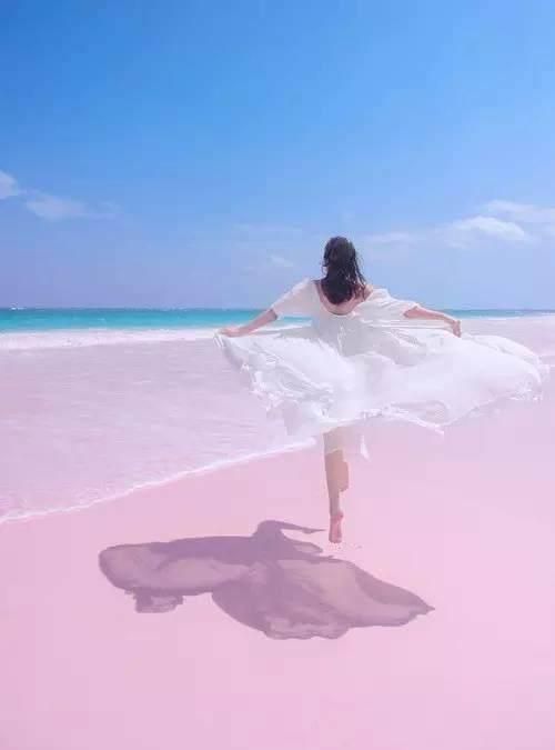 世界上的粉色沙滩在哪里图9